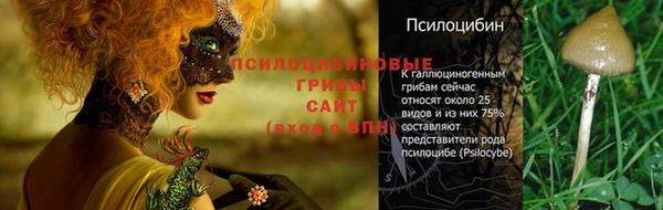 прущие крисы Киреевск