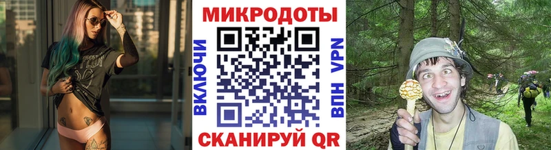Купить  Бабушкин  Псилоцибиновые грибы MAGIC MUSHROOMS 